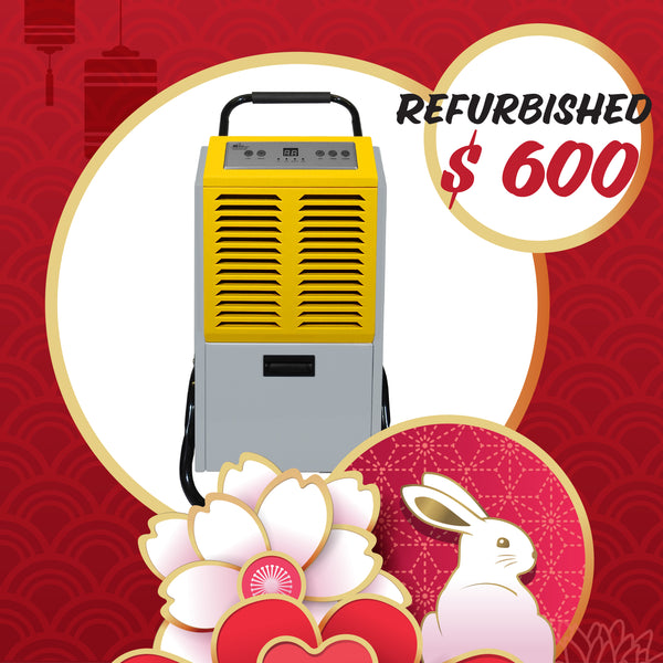 Meta Post Design (2023 LUNAR NEW YEAR)