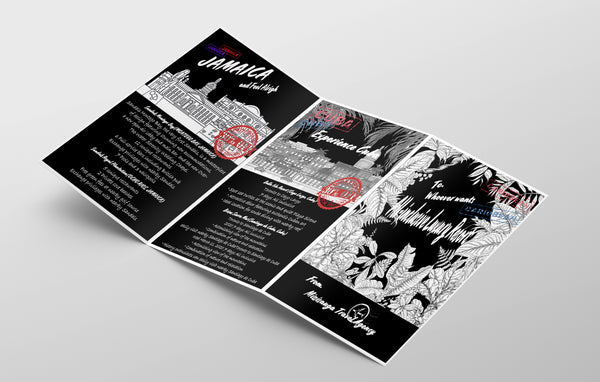 Brochure Design (Tri fold)