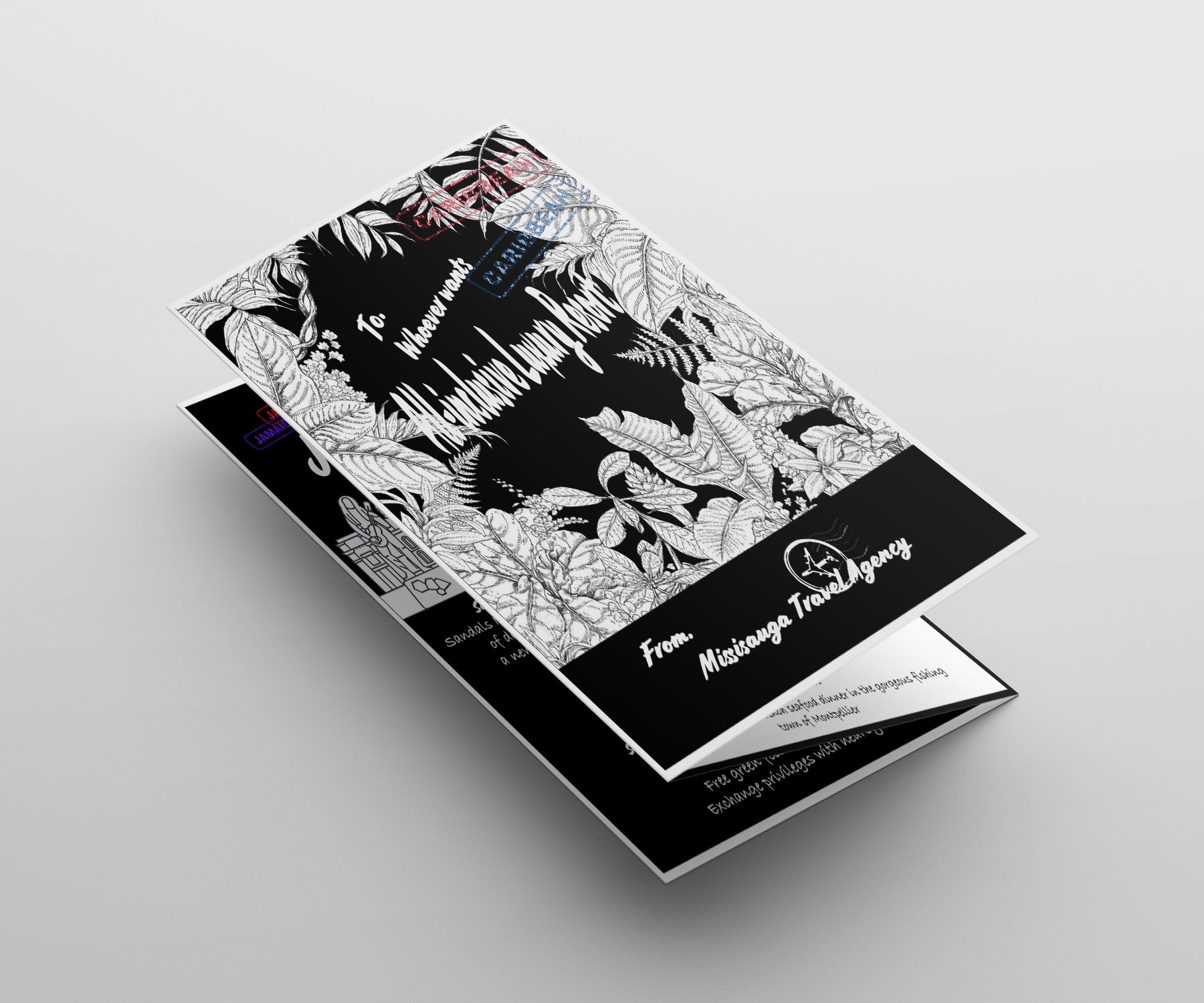 Brochure Design (Tri fold)