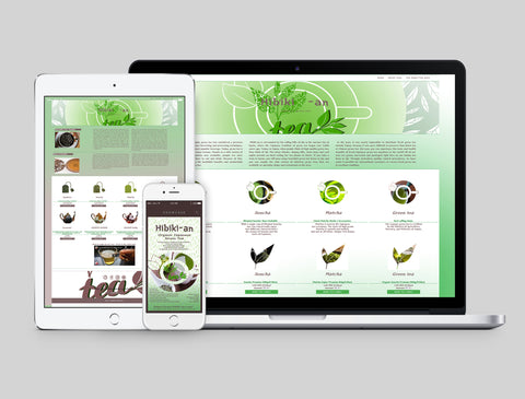 Website Design